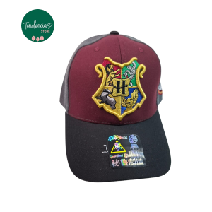 Gorro Hogwarts